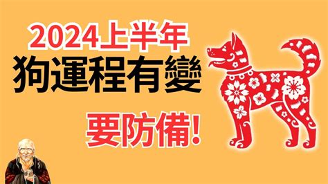 1982年屬狗 運勢|1982年属狗人2024年运程 1982年属狗人2024年运程运势